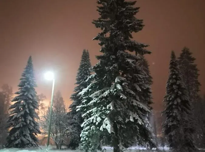 Kontiomaki Lägenhet